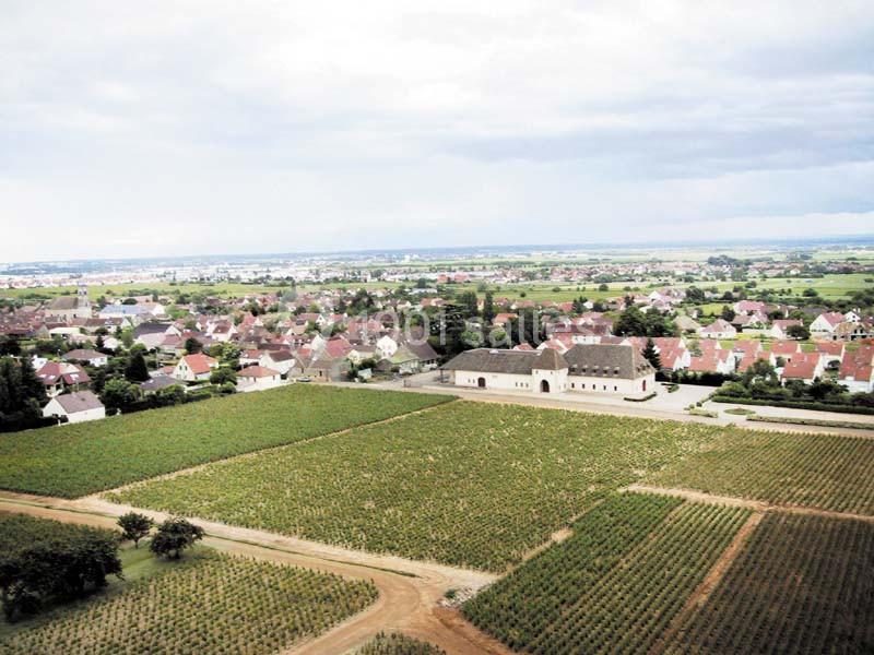 Location salle Marsannay-la-Côte (Côte-d'Or) - Château De Marsannay #9