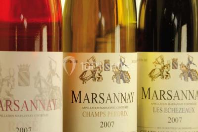 Location salle Marsannay-la-Côte (Côte-d'Or) - Château De Marsannay #24