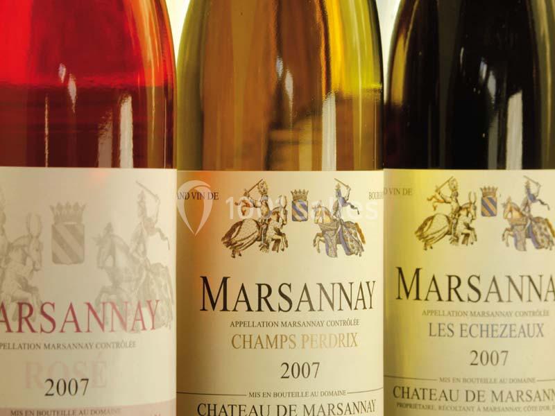 Location salle Marsannay-la-Côte (Côte-d'Or) - Château De Marsannay #12