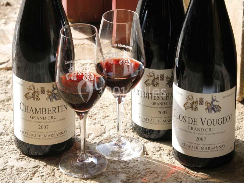 Location salle Marsannay-la-Côte (Côte-d'Or) - Château De Marsannay #13