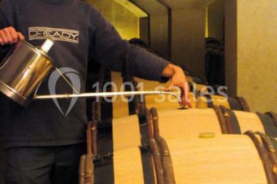 Location salle Marsannay-la-Côte (Côte-d'Or) - Château De Marsannay #24