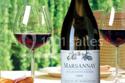 Location salle Marsannay-la-Côte (Côte-d'Or) - Château De Marsannay #24