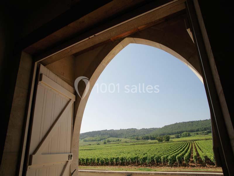 Location salle Marsannay-la-Côte (Côte-d'Or) - Château De Marsannay #5