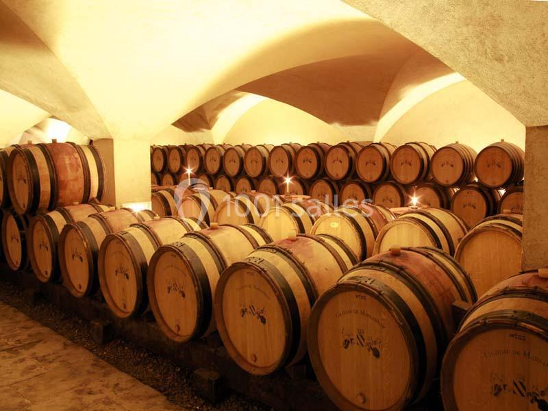 Location salle Marsannay-la-Côte (Côte-d'Or) - Château De Marsannay #6