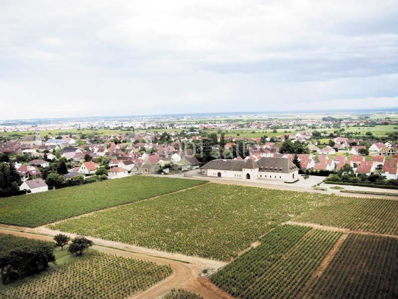 Location salle Marsannay-la-Côte (Côte-d'Or) - Château De Marsannay #10