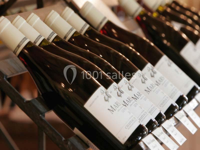 Location salle Marsannay-la-Côte (Côte-d'Or) - Château De Marsannay #11