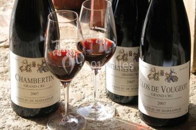 Location salle Marsannay-la-Côte (Côte-d'Or) - Château De Marsannay #24