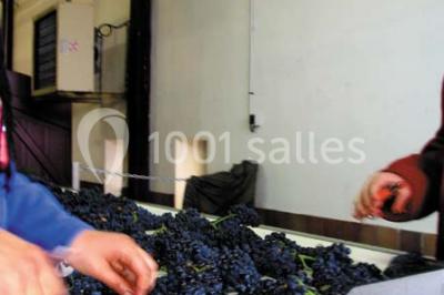 Location salle Marsannay-la-Côte (Côte-d'Or) - Château De Marsannay #24