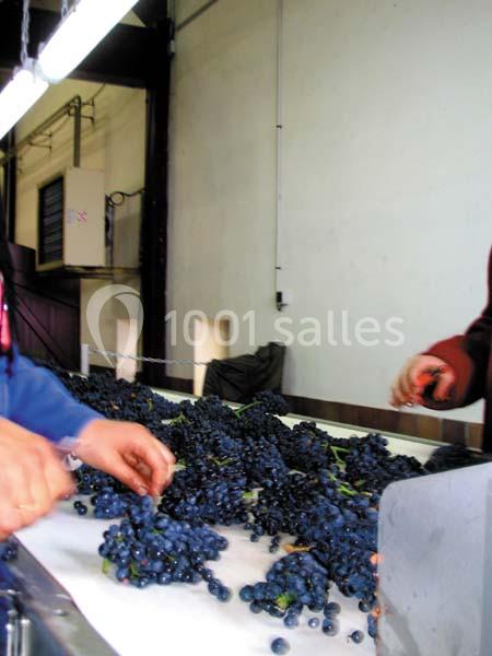 Location salle Marsannay-la-Côte (Côte-d'Or) - Château De Marsannay #18