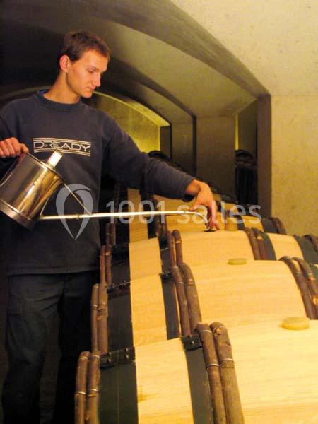 Location salle Marsannay-la-Côte (Côte-d'Or) - Château De Marsannay #19