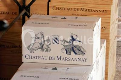 Location salle Marsannay-la-Côte (Côte-d'Or) - Château De Marsannay #24