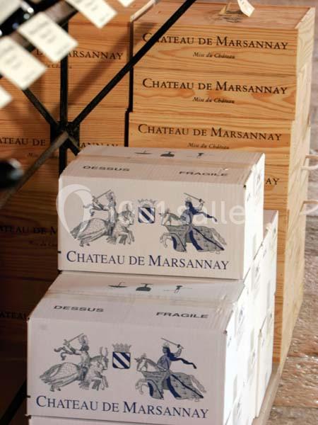 Location salle Marsannay-la-Côte (Côte-d'Or) - Château De Marsannay #21