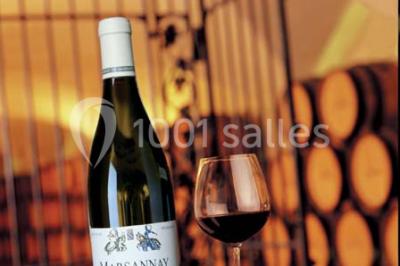 Location salle Marsannay-la-Côte (Côte-d'Or) - Château De Marsannay #24