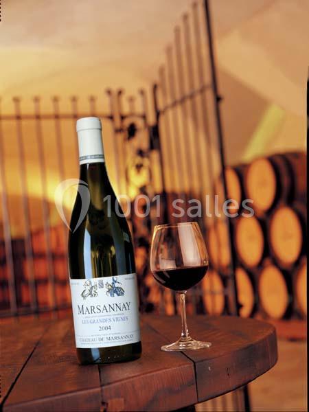 Location salle Marsannay-la-Côte (Côte-d'Or) - Château De Marsannay #23