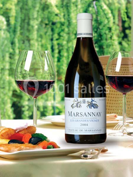 Location salle Marsannay-la-Côte (Côte-d'Or) - Château De Marsannay #24