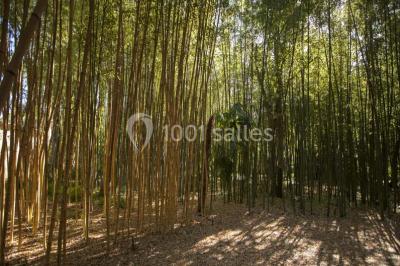 Location salle Montpellier (Hérault) - Château De Flaugergues #18