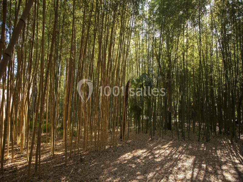 Location salle Montpellier (Hérault) - Château De Flaugergues #18