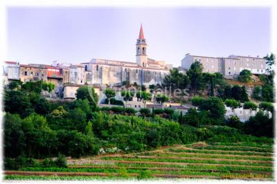 Un couple en tenue de mariage se tient la main en marchant dans un vignoble verdoyant.