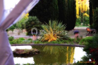Un couple en tenue de mariage se tient la main en marchant dans un vignoble verdoyant.