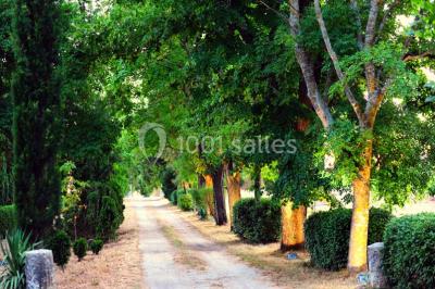 Un couple en tenue de mariage se tient la main en marchant dans un vignoble verdoyant.