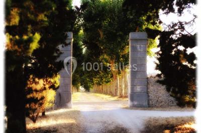 Un couple en tenue de mariage se tient la main en marchant dans un vignoble verdoyant.