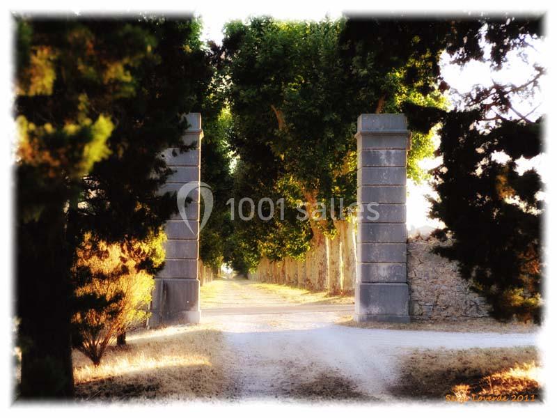 Allée bordée d'arbres menant à un portail en pierre, éclairée par une lumière douce en fin de journée.