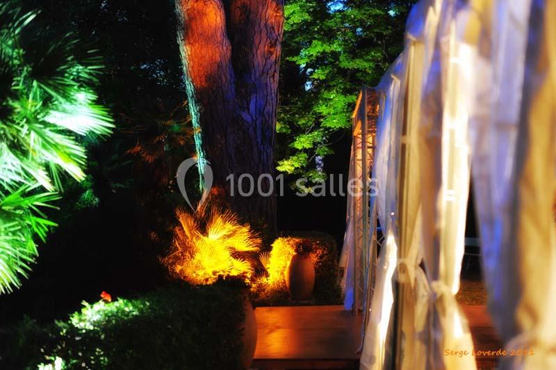 Éclairage nocturne coloré mettant en valeur des arbres, des plantes et une structure textile dans un jardin.