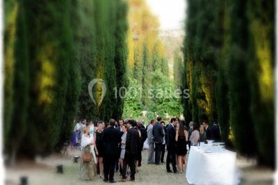 Un couple en tenue de mariage se tient la main en marchant dans un vignoble verdoyant.