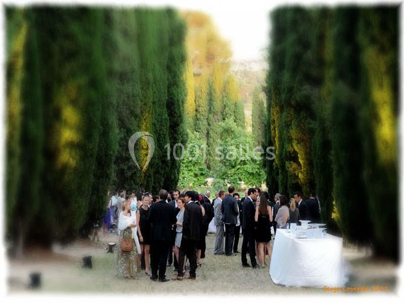 Groupe de personnes rassemblées dans une allée bordée de cyprès, avec des tables dressées à droite.