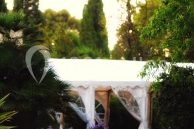 Un couple en tenue de mariage se tient la main en marchant dans un vignoble verdoyant.