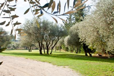 Location salle Gémenos (Bouches-du-Rhône) - Mas de Garguier #71