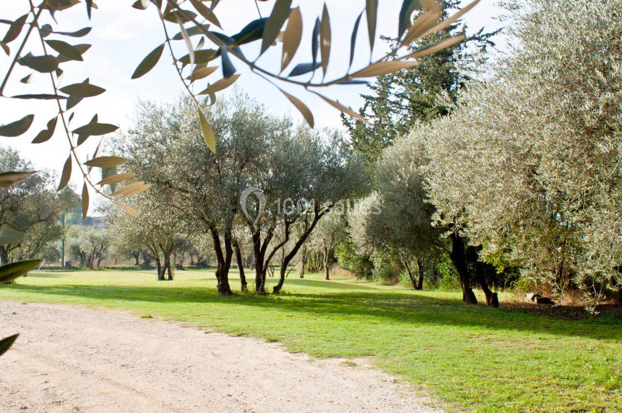 Location salle Gémenos (Bouches-du-Rhône) - Mas de Garguier #50