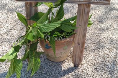 Location salle Gémenos (Bouches-du-Rhône) - Mas de Garguier #71