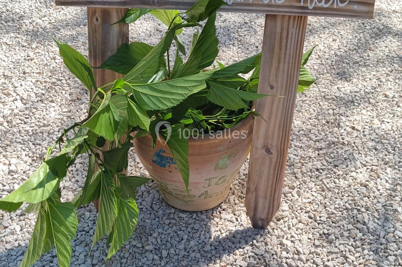 Location salle Gémenos (Bouches-du-Rhône) - Mas de Garguier #71