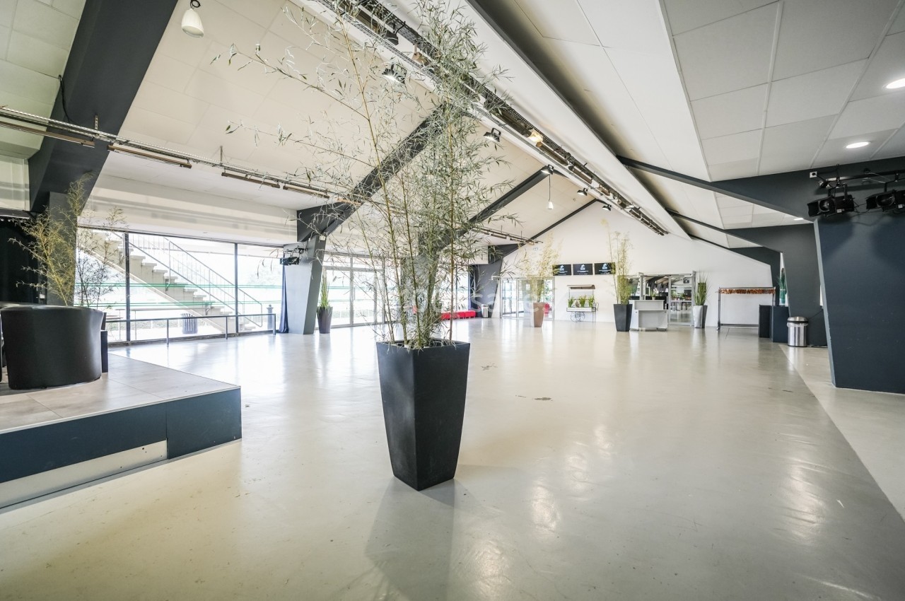 Salle spacieuse et lumineuse avec de grandes baies vitrées, des plantes en pot et un comptoir au fond.