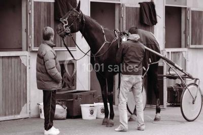 Salle avec grandes baies vitrées donnant sur une piste extérieure, aménagée avec tables, chaises et fauteuils rouges.