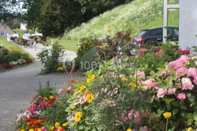 Deux personnes portant des baskets blanches avec l'inscription ’J'ai dit oui’, entourées de confettis en forme de cœur.