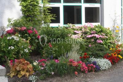 Deux personnes portant des baskets blanches avec l'inscription ’J'ai dit oui’, entourées de confettis en forme de cœur.