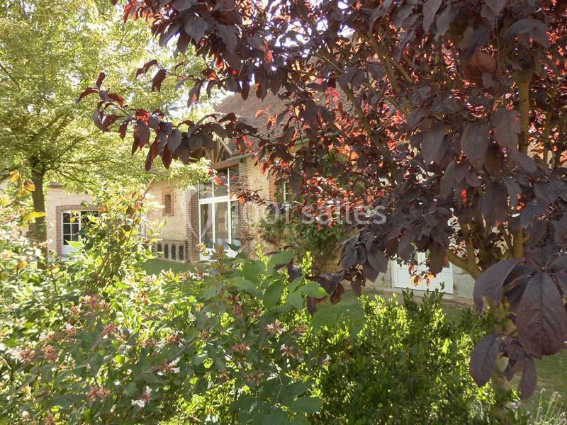 Arbres et arbustes feuillus encadrant une maison en briques avec des fenêtres blanches visibles en arrière-plan.