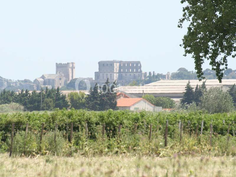 Vue d'un paysage rural avec des vignes au premier plan et des bâtiments historiques en arrière-plan.