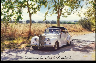 Église en pierre avec une tour, entourée de végétation et éclairée par une lumière naturelle sous un ciel bleu.