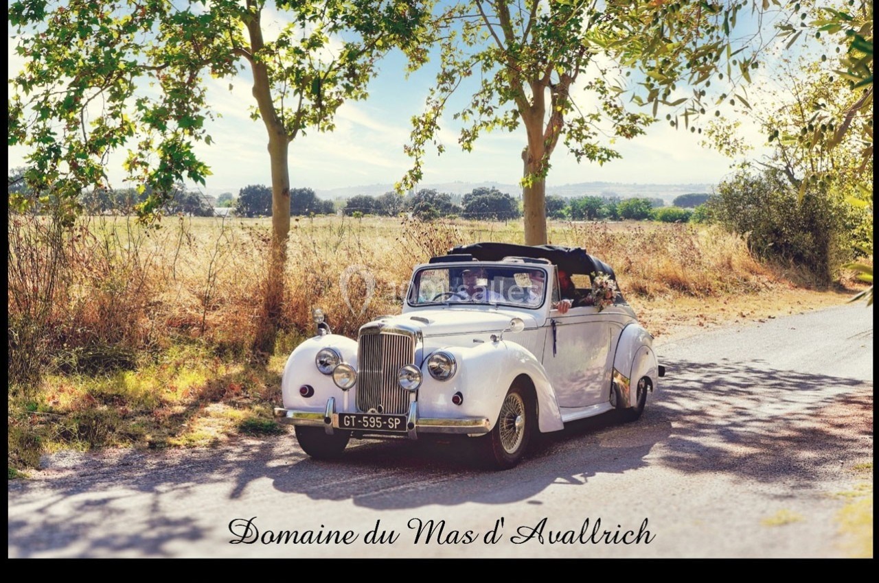 Voiture ancienne décapotable blanche sur une route de campagne bordée d'arbres, par une journée ensoleillée.