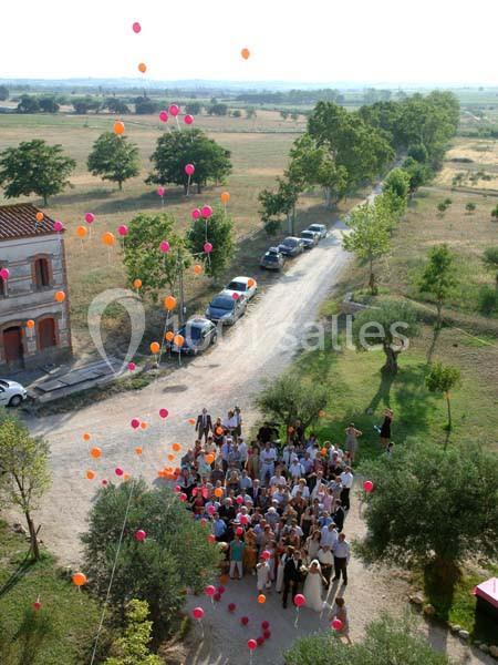 Groupe de personnes rassemblées à l'extérieur, lâchant des ballons colorés dans un paysage rural.