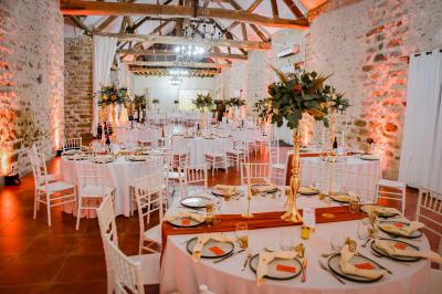Une mariée en robe blanche applaudit devant un groupe de personnes dans un jardin lors d'une célébration.