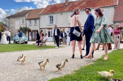 Un couple de mariés entouré de leurs témoins et demoiselles d'honneur posant en extérieur au coucher du soleil.
