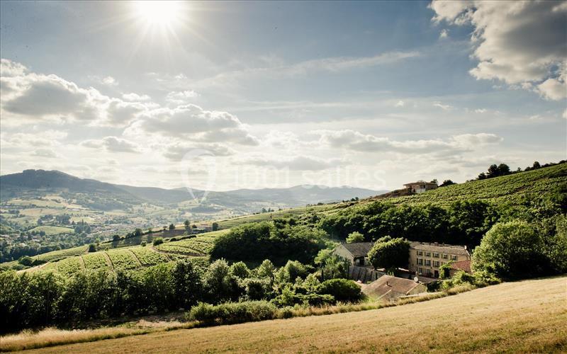 Paysage vallonné avec vignobles, bâtiments en pierre et ciel ensoleillé parsemé de nuages.