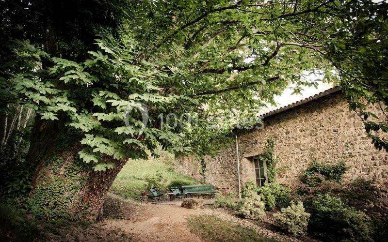 Cour ombragée avec un grand arbre, un banc vert et une maison en pierre entourée de végétation.