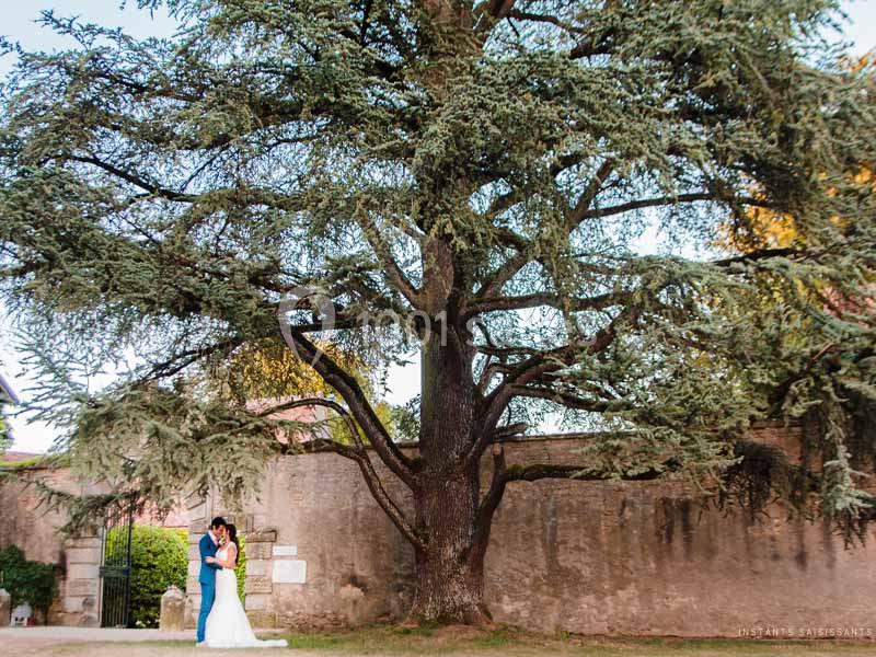 Un couple en tenue de mariage pose sous un grand arbre devant un mur en pierre dans un espace extérieur.