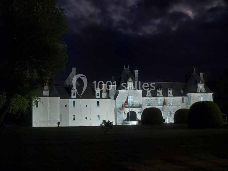 Façade d'un château éclairée la nuit, entourée d'arbres et sous un ciel sombre et nuageux.