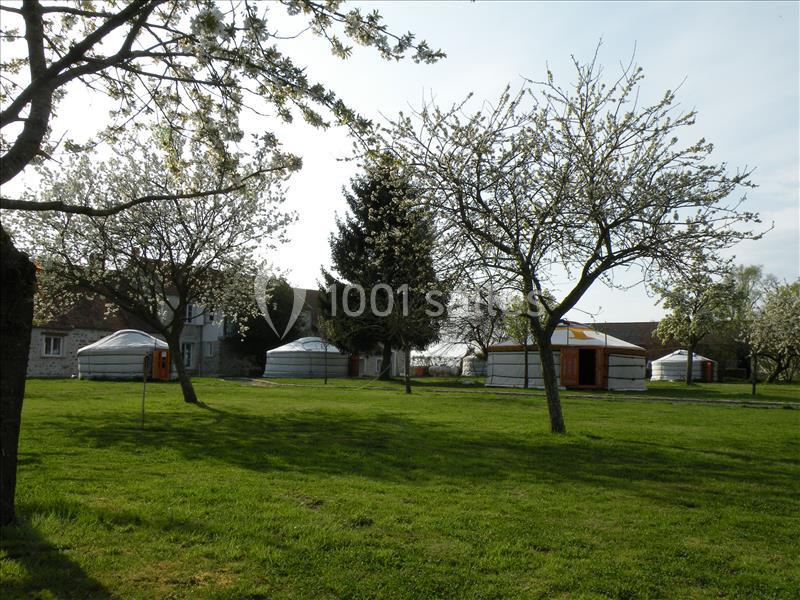 Des yourtes blanches installées dans un espace verdoyant avec des arbres en fleurs et des bâtiments en arrière-plan.